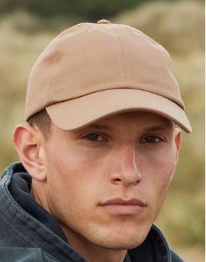 Organic Cotton 6 Panel Dad