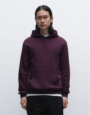 SWEAT CAPUCHE RÉGULIER HOMME