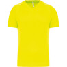 Fluorescent Yellow
