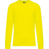 Fluorescent Yellow