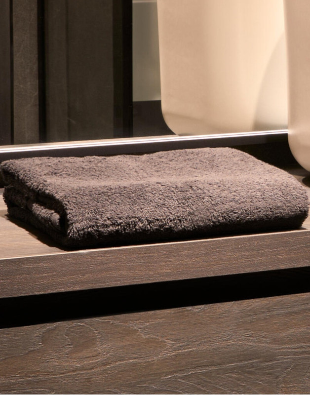 ESSUIE-MAINS 50X100 CMTO5503SG accessories Towel