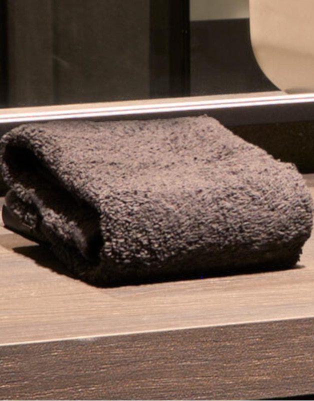 SERVIETTE INVITÉ 30X50 OU 40X60CMTO5505SG accessories Towel