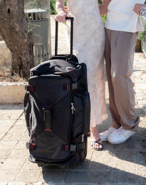 PARIS TROLLEY SAC DE VOYAGESH6096 ParisShugon