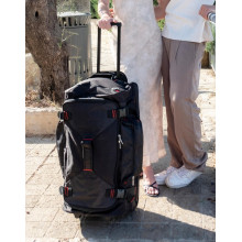 PARIS TROLLEY SAC DE VOYAGESH6096 ParisShugon