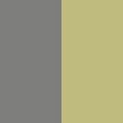 Slate Grey / Burnt Lime
