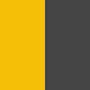 PA015-Sporty Yellow / Black