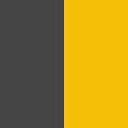 PA0300-Black / Sporty Yellow