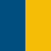 PA0300-Sporty Royal Blue / Sporty Yellow