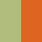 PA044-Lime / Spicy Orange