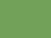 507-Bright Green