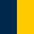 Navy_Yellow