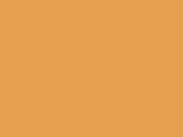 413-Bright Orange