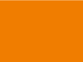 405-Fluorescent Orange