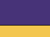 352-Purple/Yellow