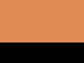 452-Fluorescent Orange/Black