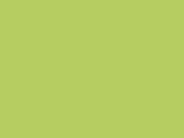 507-Fluorescent Green