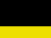146-Black/Fluorescent Yellow