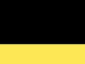 147-Black/Yellow