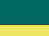 556-Paramedic Green/Fluo Yellow