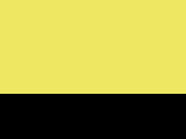 650-Fluo Yellow/Black