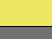 651-Fluo Yellow/Grey