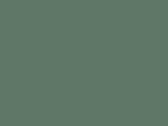 535-Lichen Green