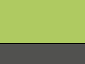 521-Lime/Graphite Grey